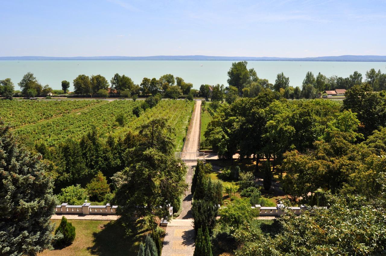 Sir David Balaton Castle Apartmanok Балатонсепезд Экстерьер фото
